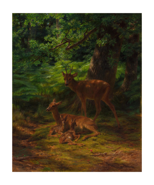 "Deer in Repose" Rosa Bonheur (1867)